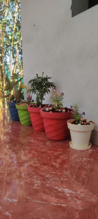 Mahabs Homestay Villa 마하발리푸람 외부 사진